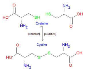 cysteine and cystine